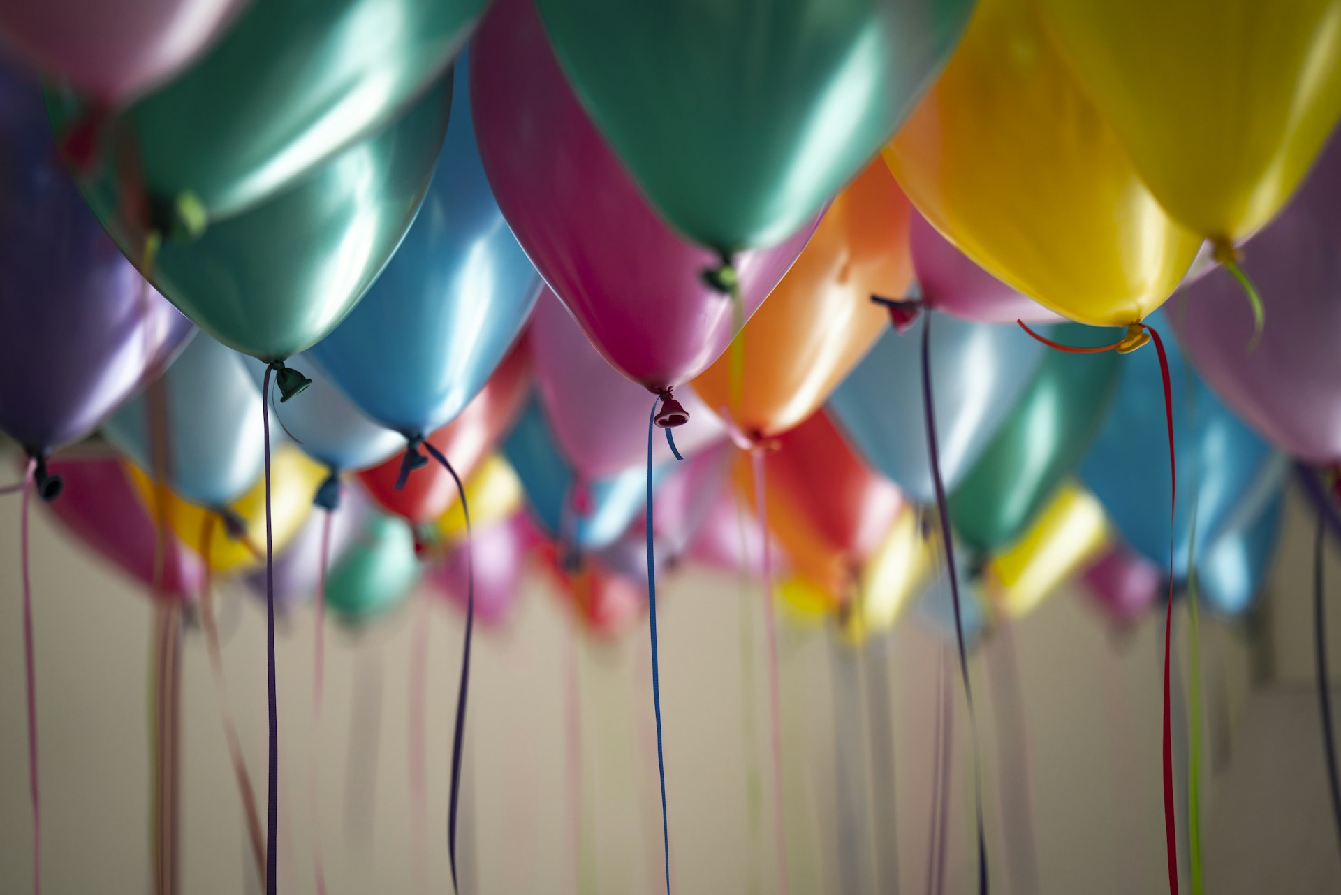 Colourful balloons ready for a celebration
